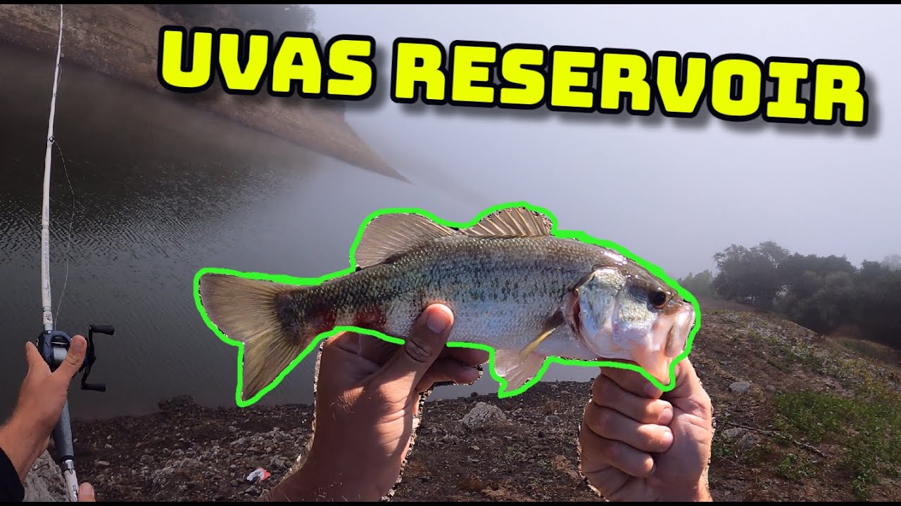 Uvas Reservoir Bass Fishing! (Exploring New Waters)