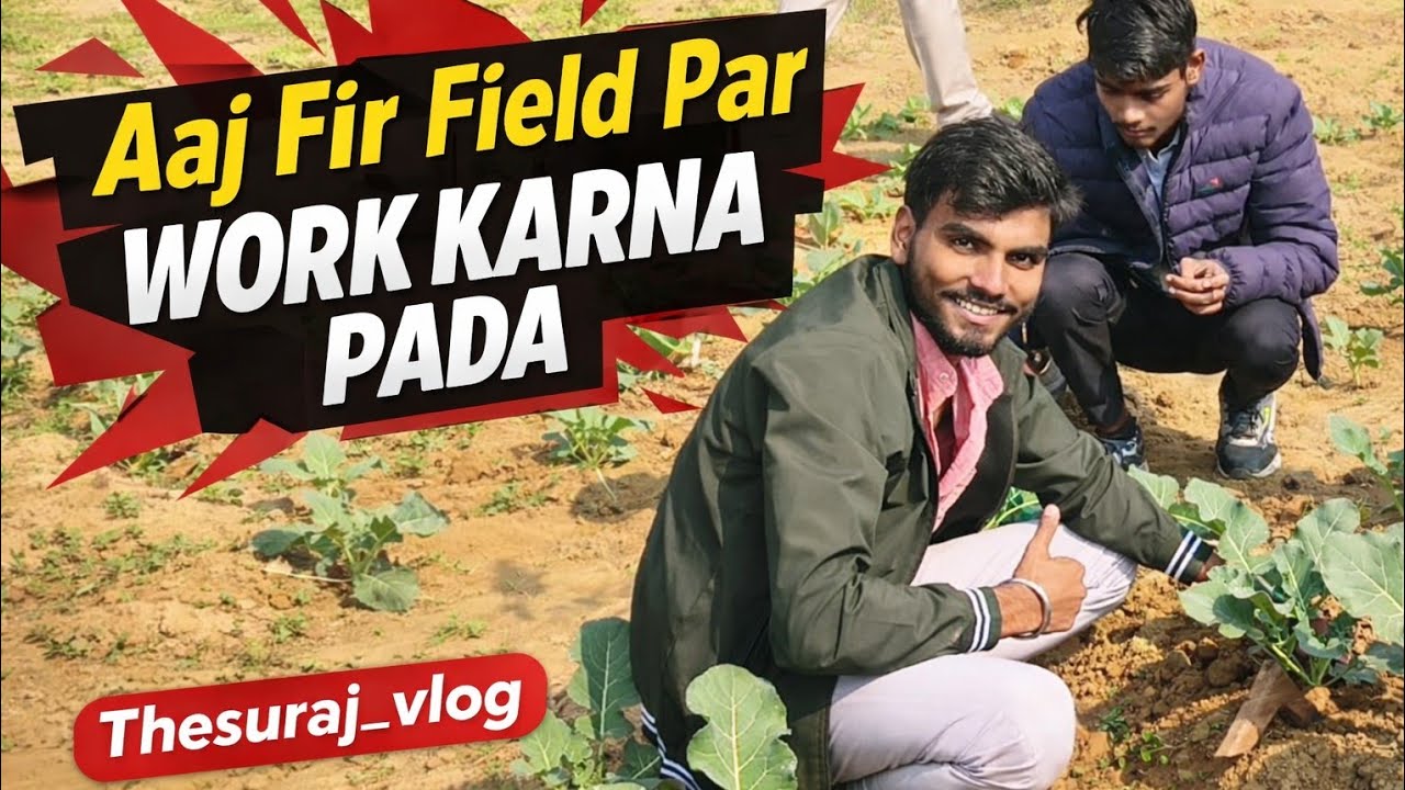 #todaynewvlog #wachingvideo 