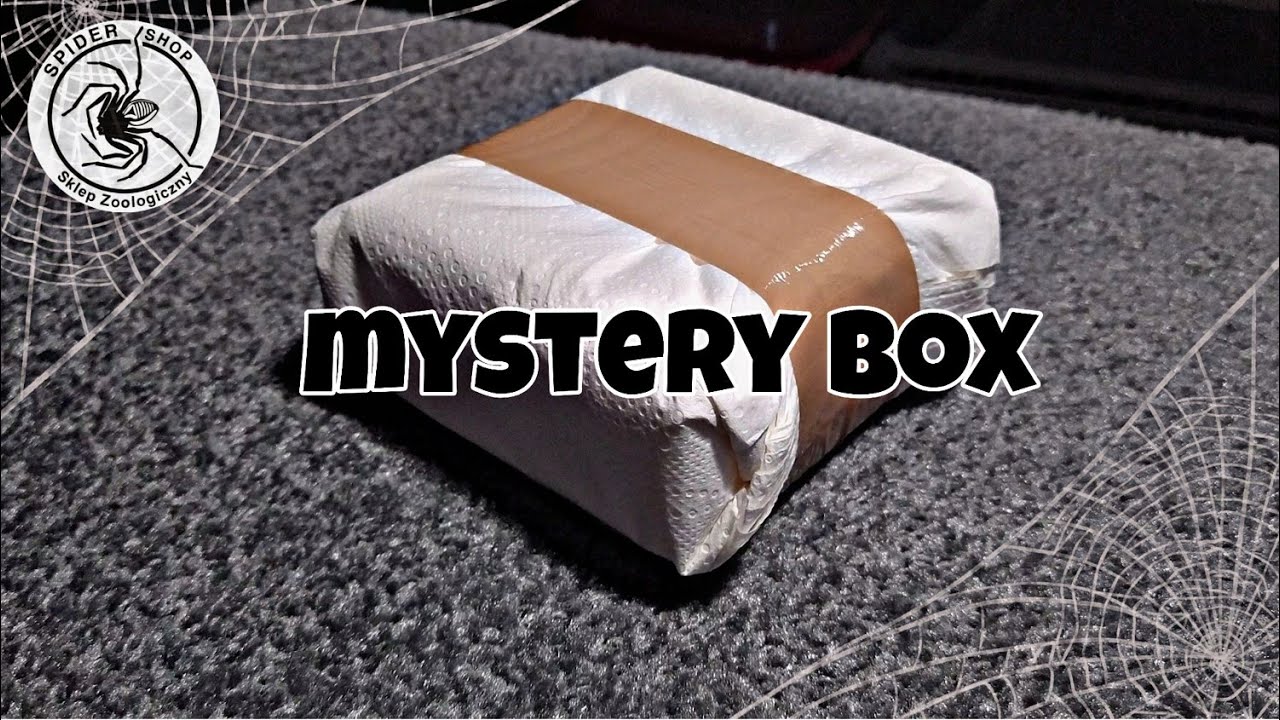 Co znajdziemy w środku 🤔 Czyli... Mystery Box od Spidershop🕷