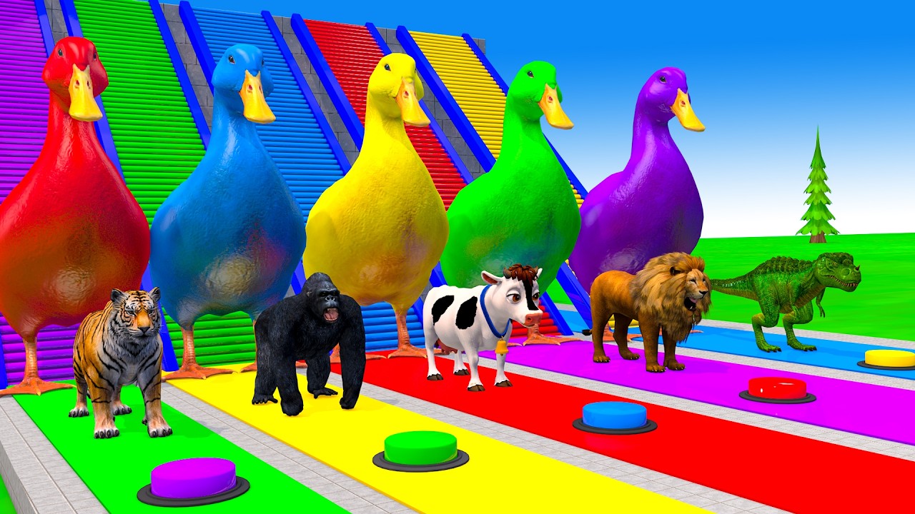 Long Slide Game With Cow Elephant Gorilla Hippopotamus Tiger 3d Animal Game Funny 3d Animals