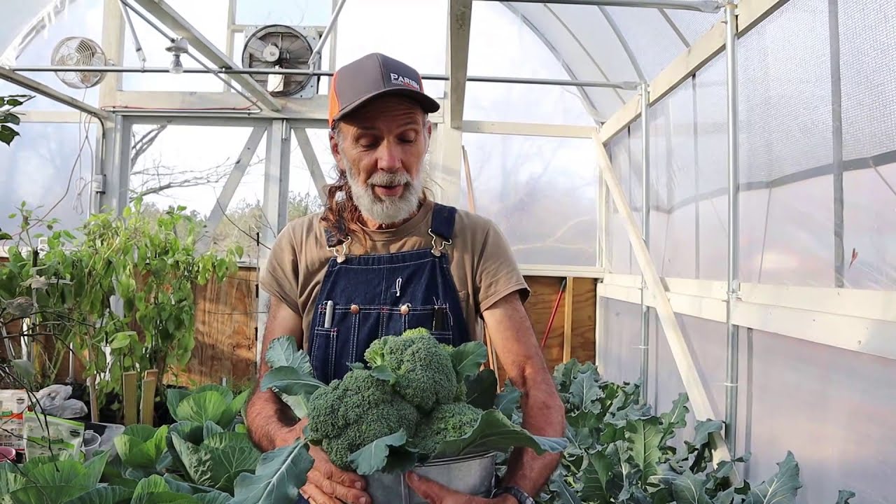 Greenhouse Tour Jan 2021