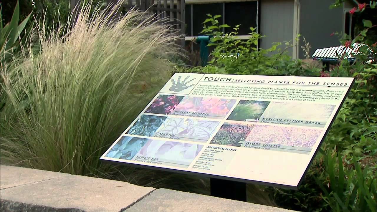 The Sensory Garden