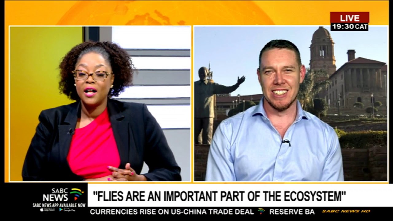 Residents of Johannesburg have been overwhelmed by an increase of flies