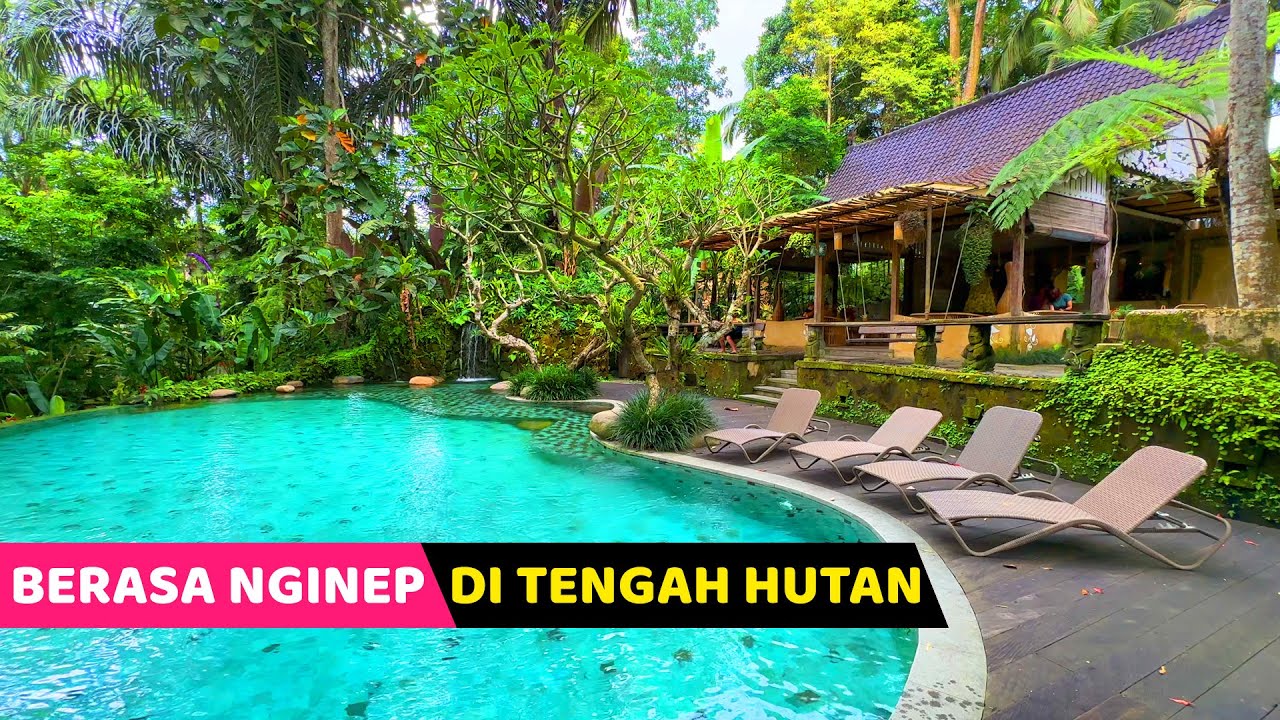 HEALING MANTAP 'DI TENGAH HUTAN'...! Pramana Giri Kusuma | Hotel Bagus di Ubud Bali