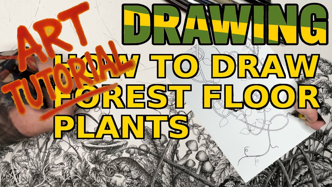 Drawing Forest Plants & Vines in Pen and Ink | Botanical Illustration Techniques