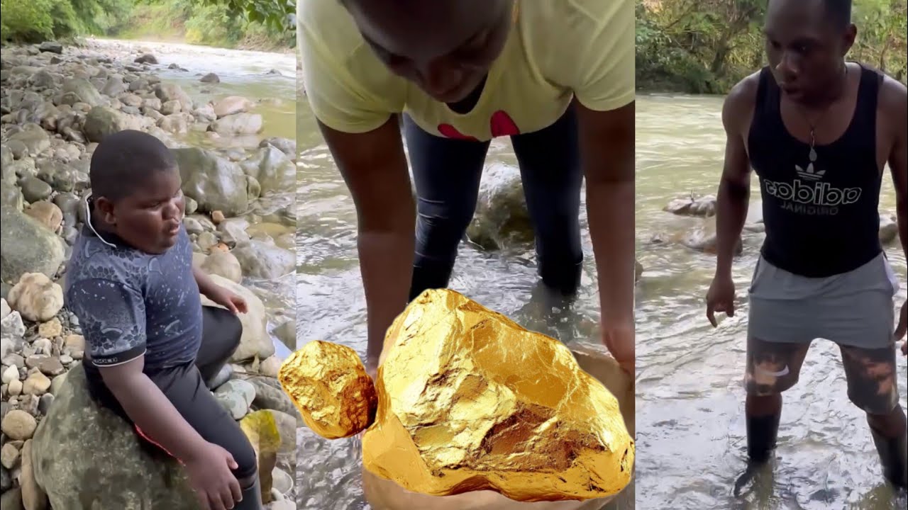 Porkin y sus padres buscan Oro #viralvideo #video #humor