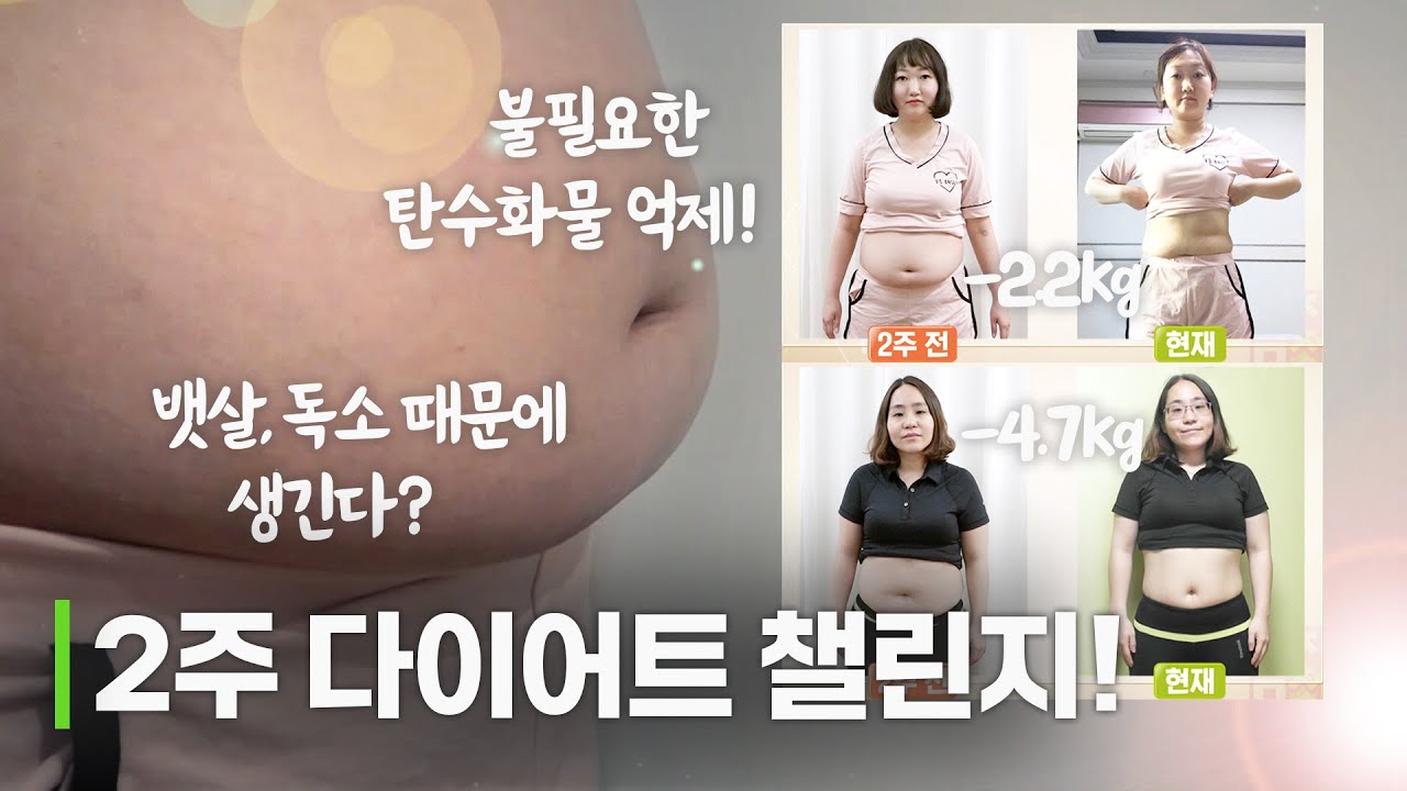 의사가 하라는 대로 다이어트! 2주만에 장독소와 지방빼기 프로젝트!!!