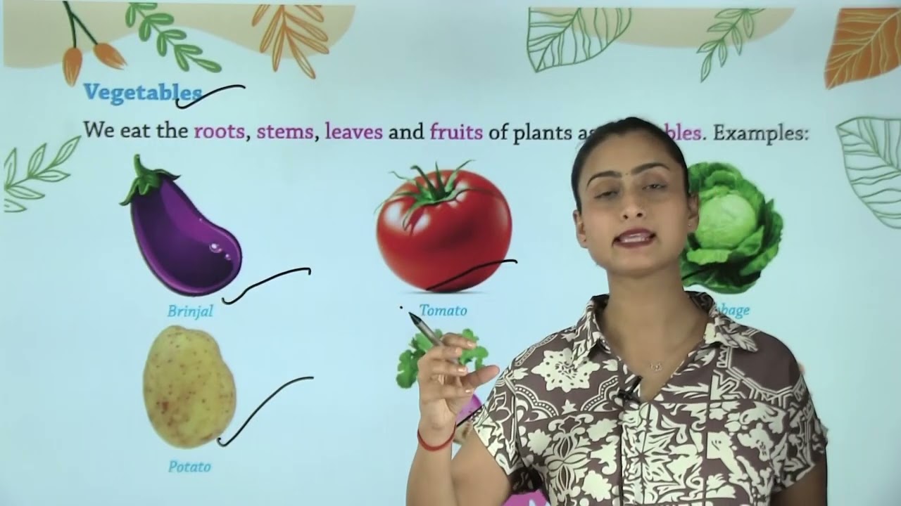 Ch 13 | Plants Around Us | My Green World | Class 02 | Growing Mind | For children