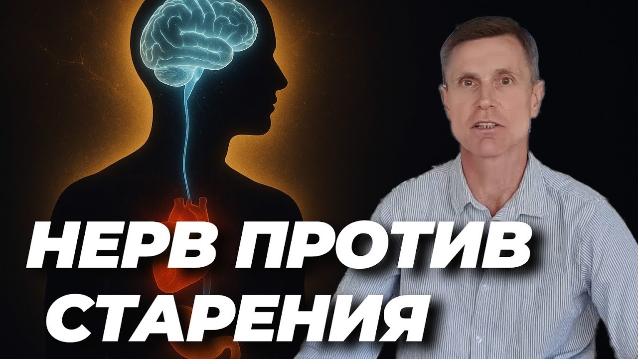 Блуждающий нерв: ключ к долголетию и здоровью. Как повлиять