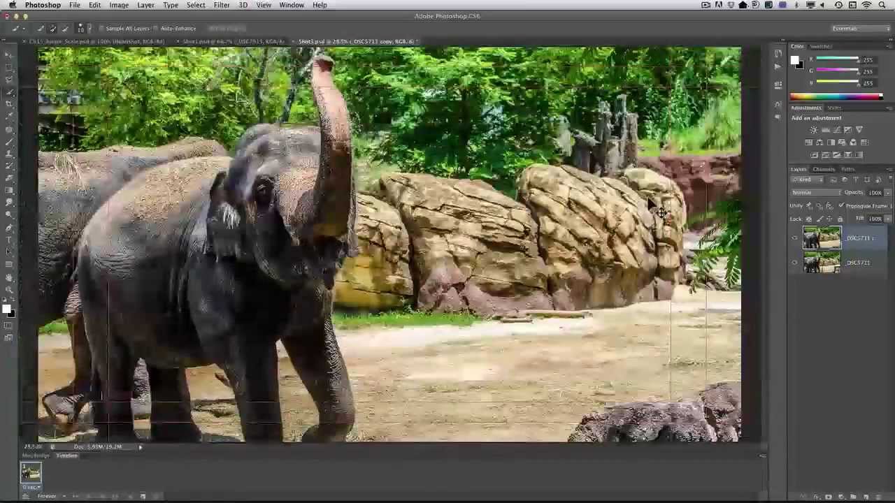 The Adobe Photoshop to Adobe Premiere Pro Workflow