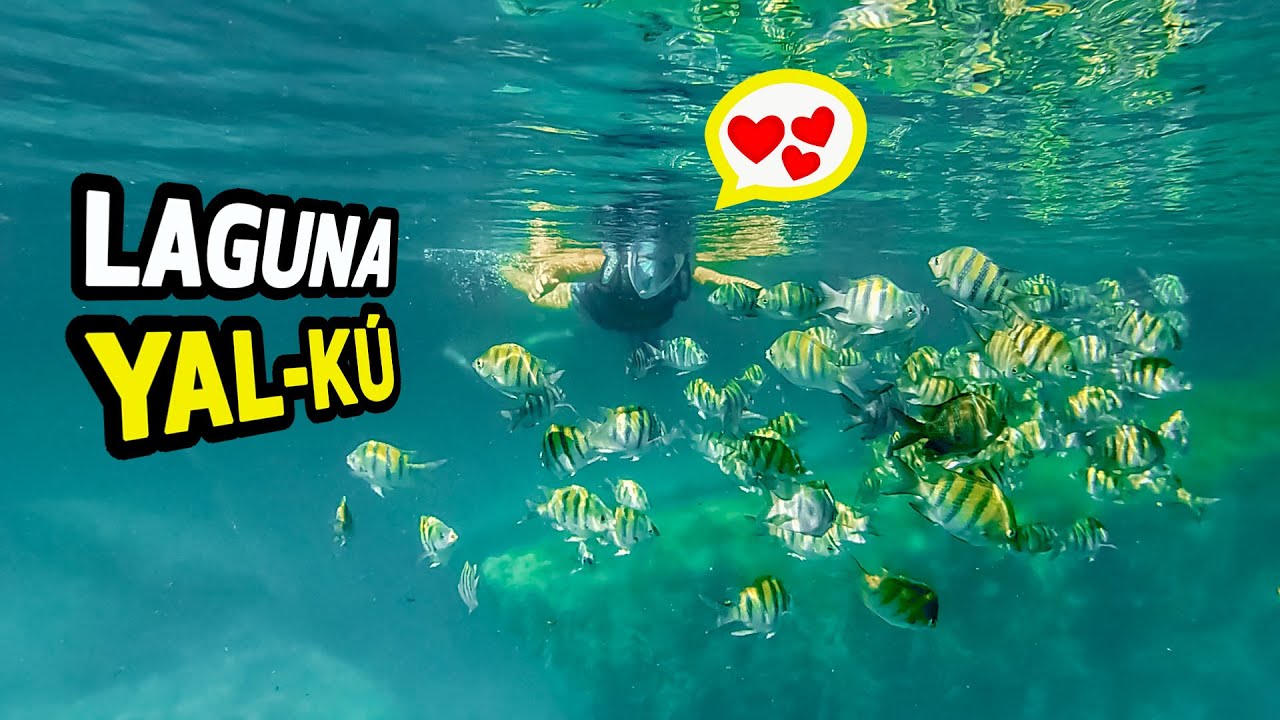 😍A mi suegra  le encantó esta laguna | ✅ LAGUNA YALKU Akumal Riviera Maya