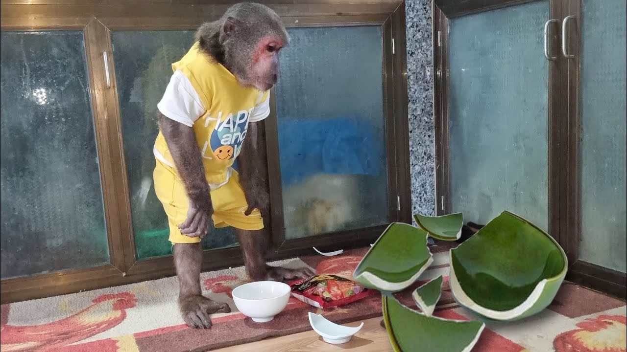 Abu hid the broken bowl because afraid of getting scolded by mom