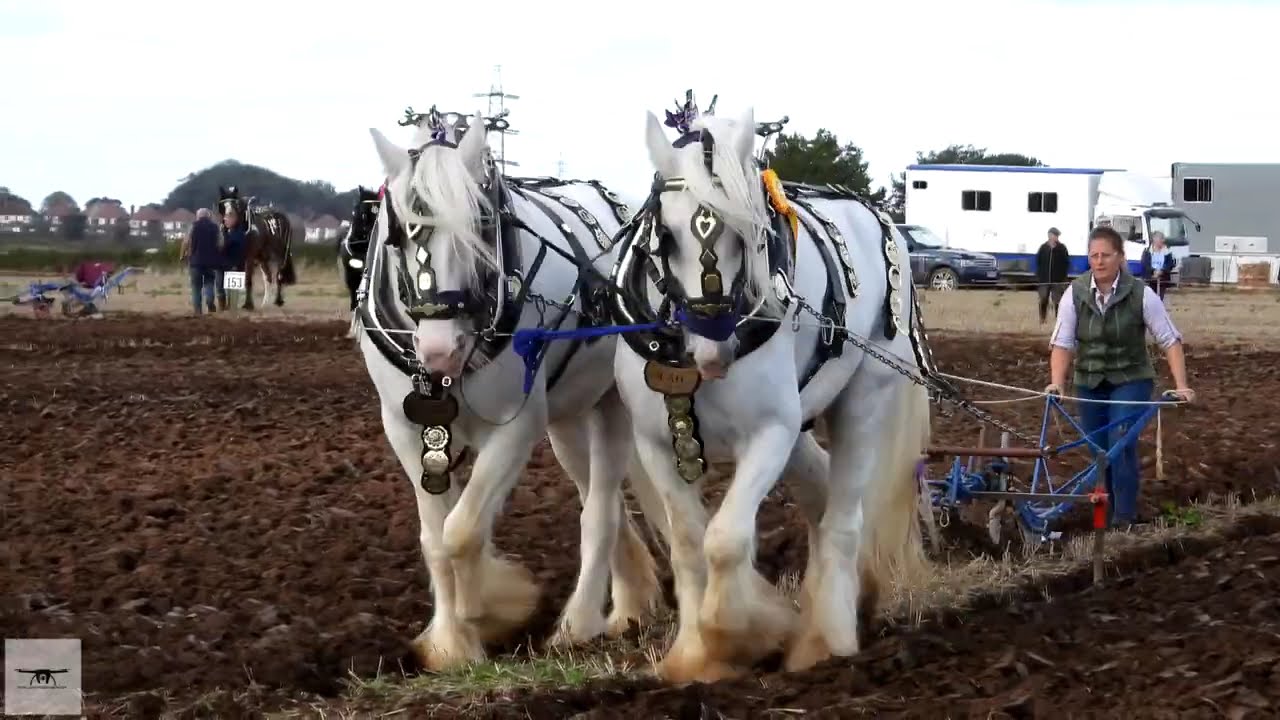 National Ploughing Championships 2022
