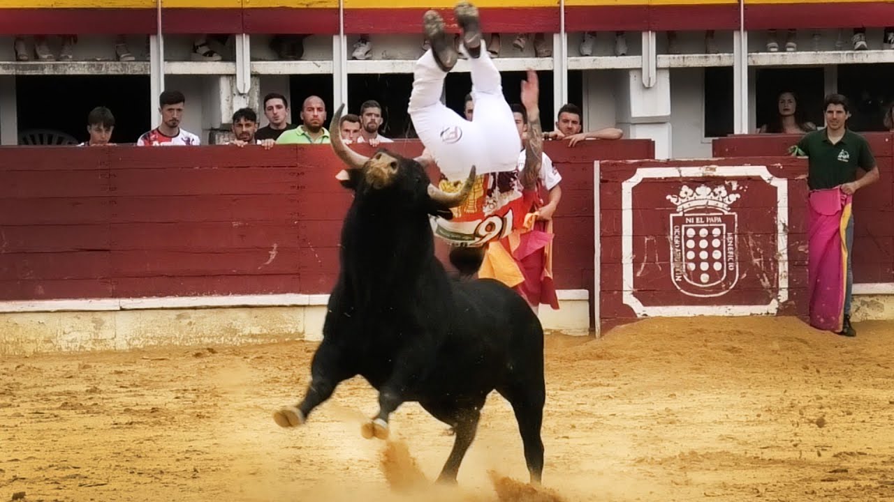Medina del Campo 2023 Campeonato de Cortes con Toros Bravos