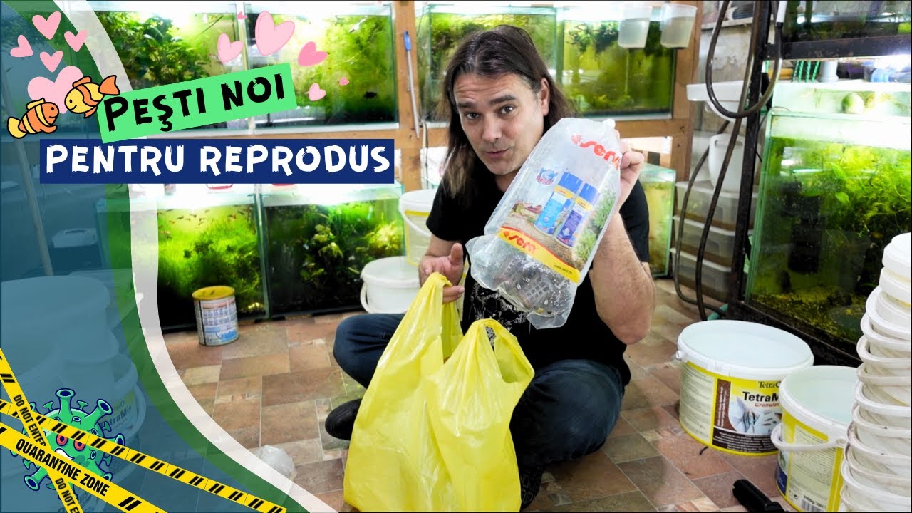 Vlog #24 | Pesti noi, bazine de carantina, masculi infoiati