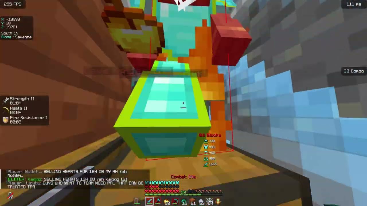 Lsn Montage #2