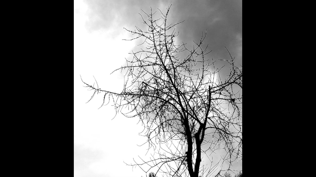 ReZare - Light