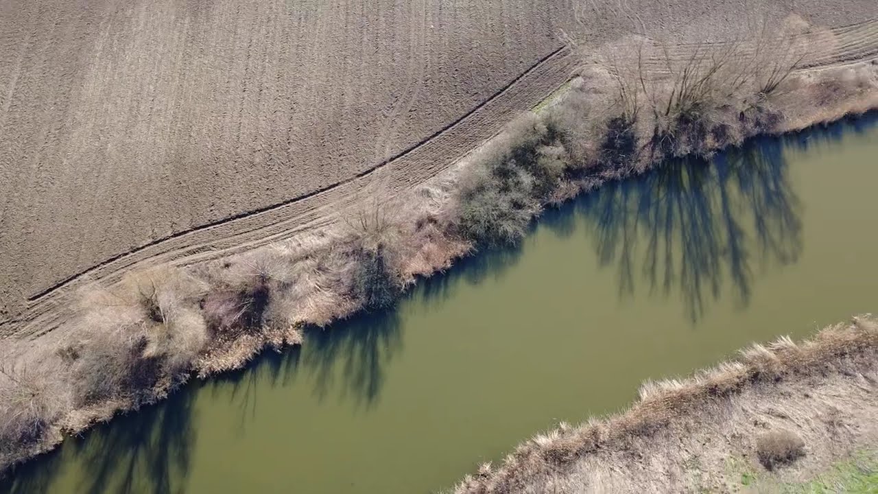 Grabovo Kaiševac