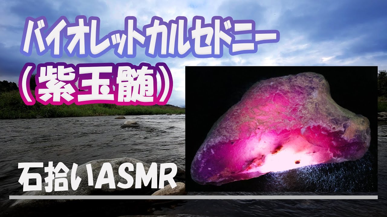 紫玉髄を見つけました。