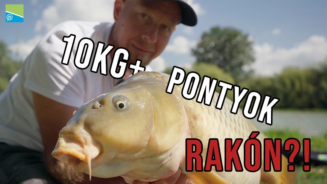 Rakós bottal nagy pontyokra | Katus Gyulával