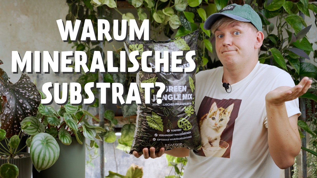 DARUM sollten DEINE Pflanzen in ein mineralisches Substrat ⚠️ + alle Vorteile