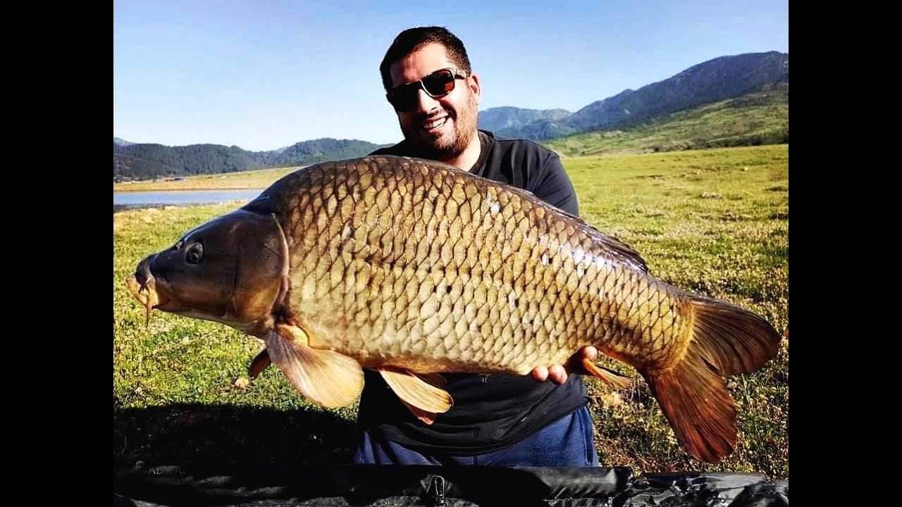 Carp Fishing Bonkers Baits Best 3 Carp 1st Place Competition 2020