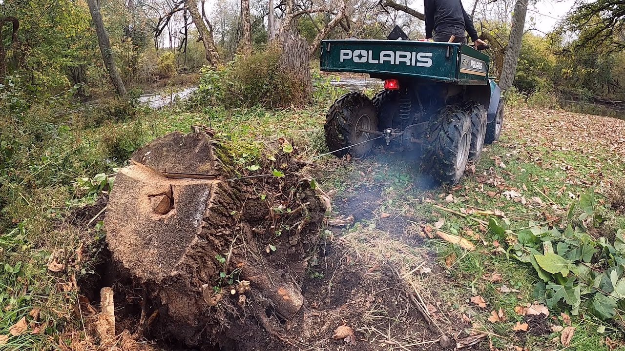 Polaris Big Boss 6x6 - Stump Pulling Power!