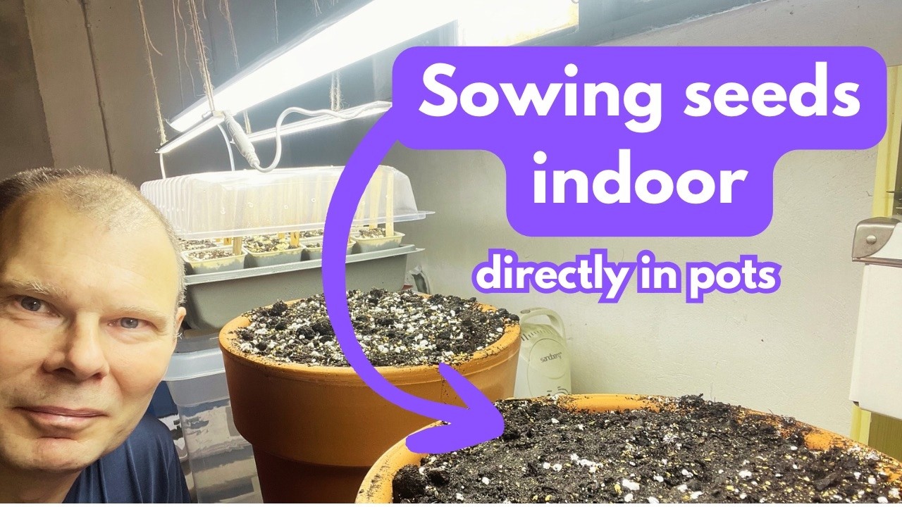 Indoor sowing directly in pots | Mid February