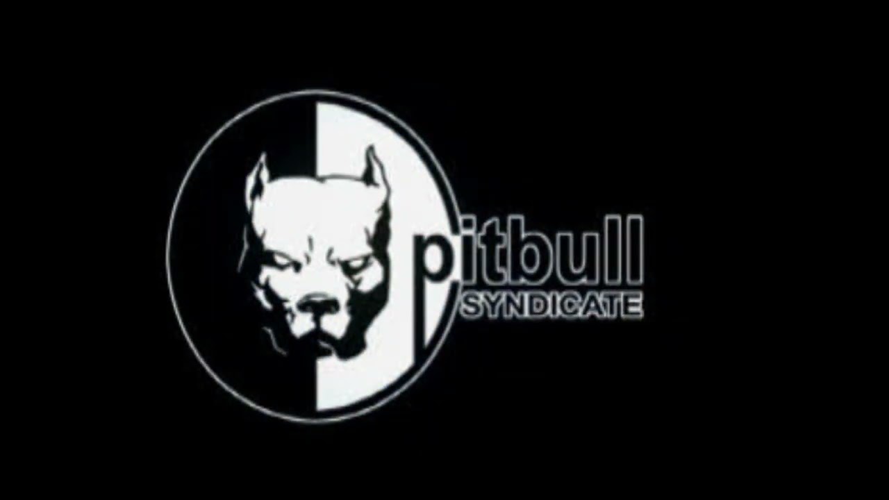 Infogrames/Pitbull Syndicate (1999)