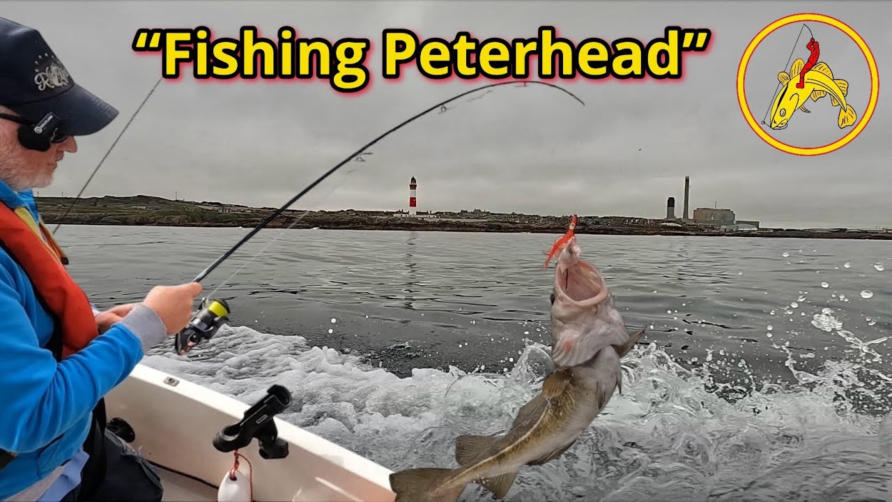 Fishing Peterhead: Mixed Species: FISHnTHINGS 🎣