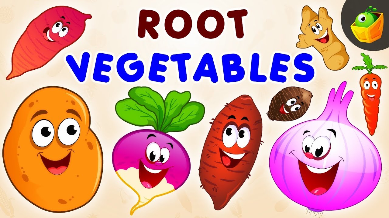 Root Vegetables | Learn Spelling videos | For Nursery & Kindergarten in MagicBox