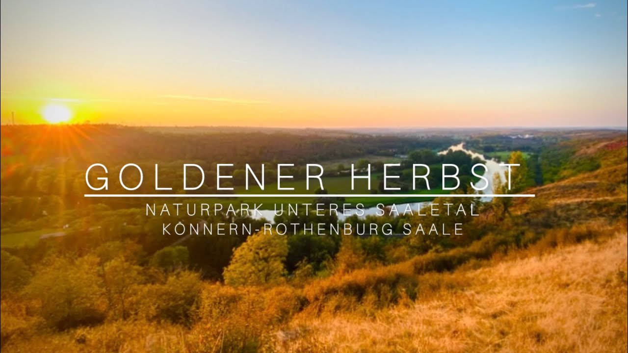 Goldener Herbst - Naturpark  Unteres Saaletal #könnern #herbst #saaletal #rothenburg #herbst2025