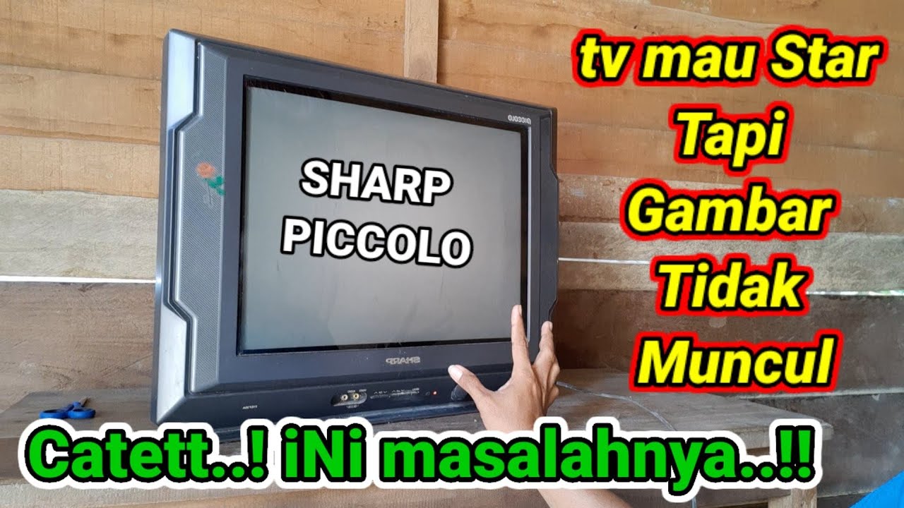 SHARP PICCOLO HIDUP STAR TAPI TIDAK MUNCUL GAMBAR