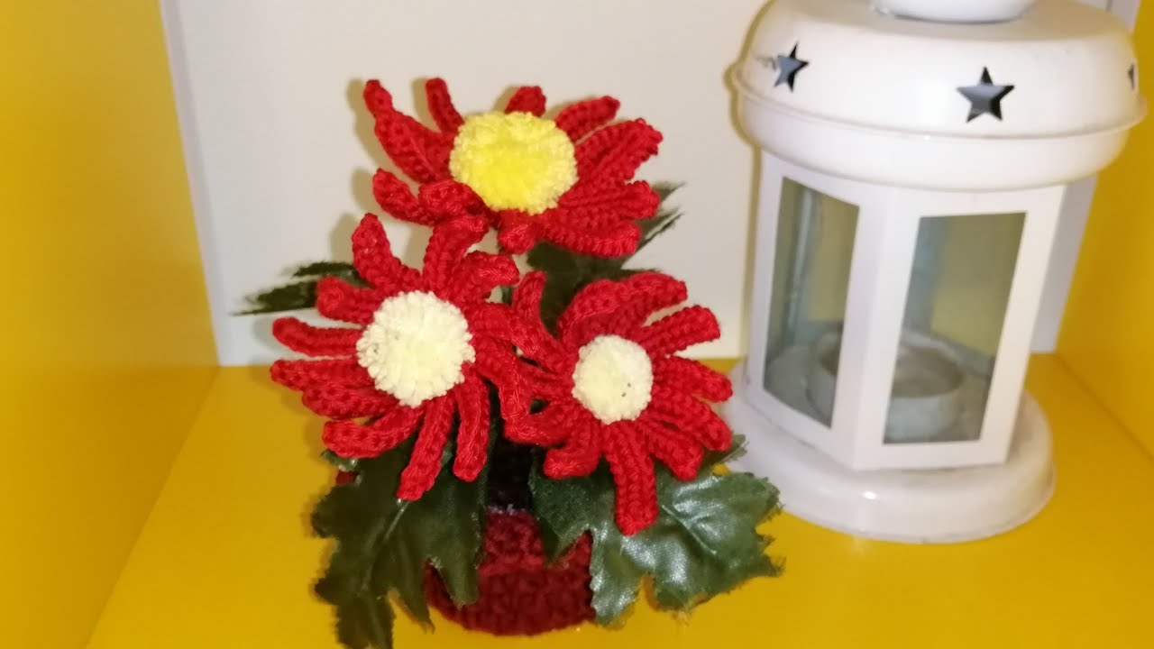 Christmas flower