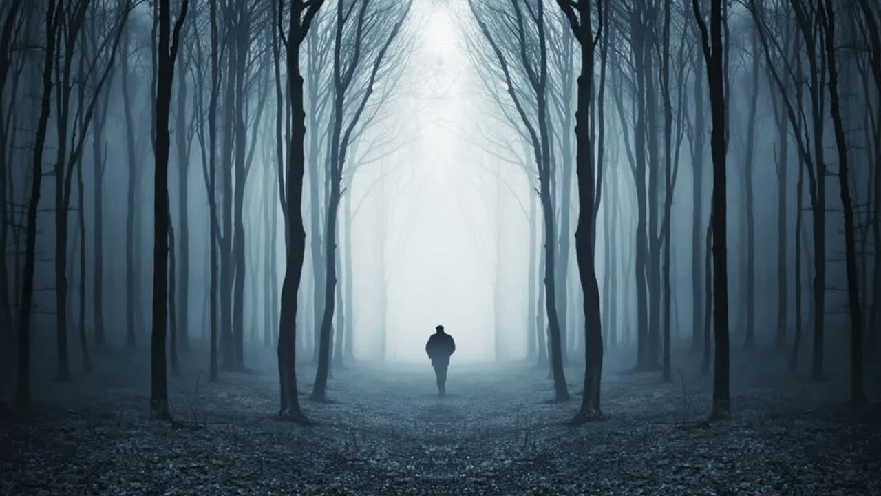 Melodic Techno 2026 mix I have walked on lonely path in the dark night Albert Dj