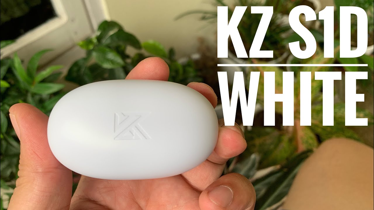 Unboxing TWS KZ S1D
