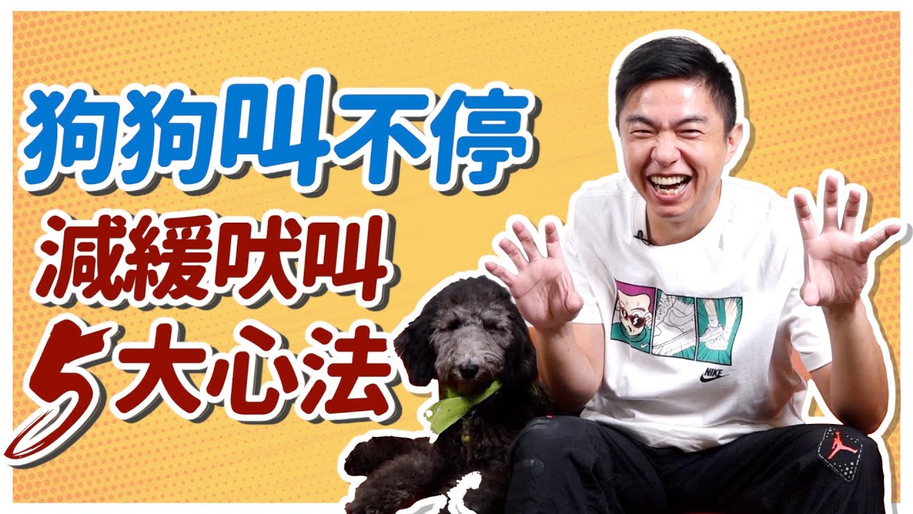 在家叫！出門也叫！狗狗總是叫不停！？減緩吠叫5大心法 How to Stop Dog Barking｜熊爸估狗