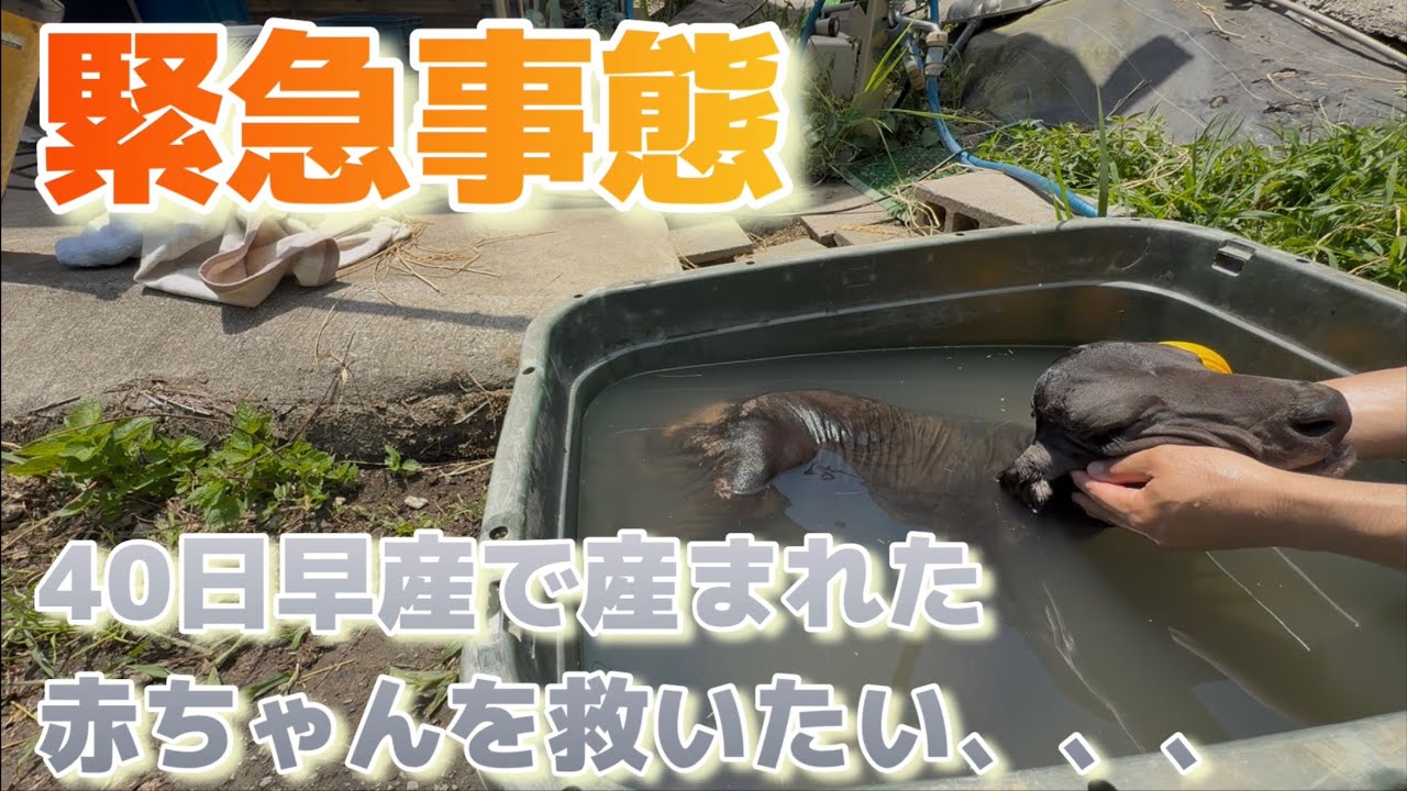 生きろ！生きてくれ！！
