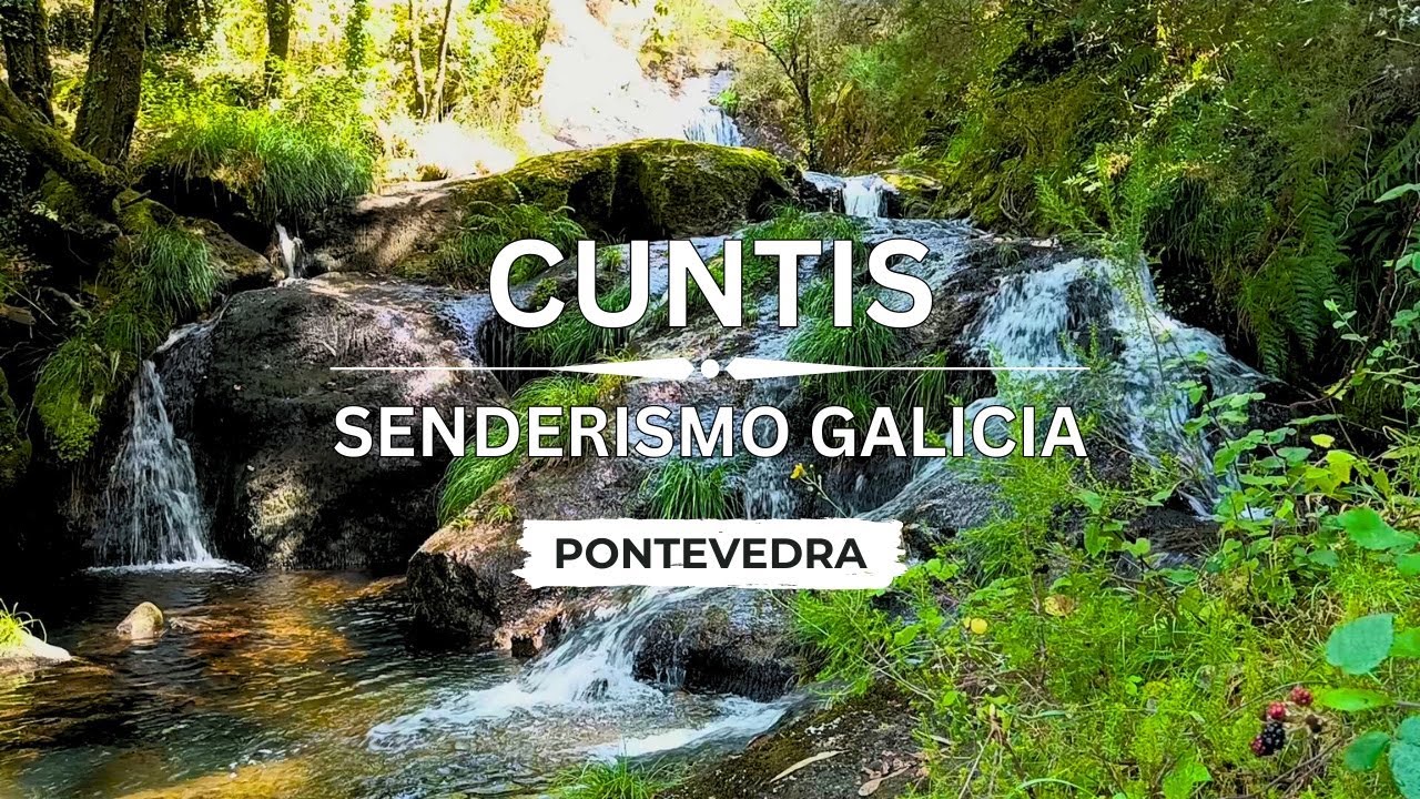 🇪🇸 🌳 Cuntis (Río da Patela) 