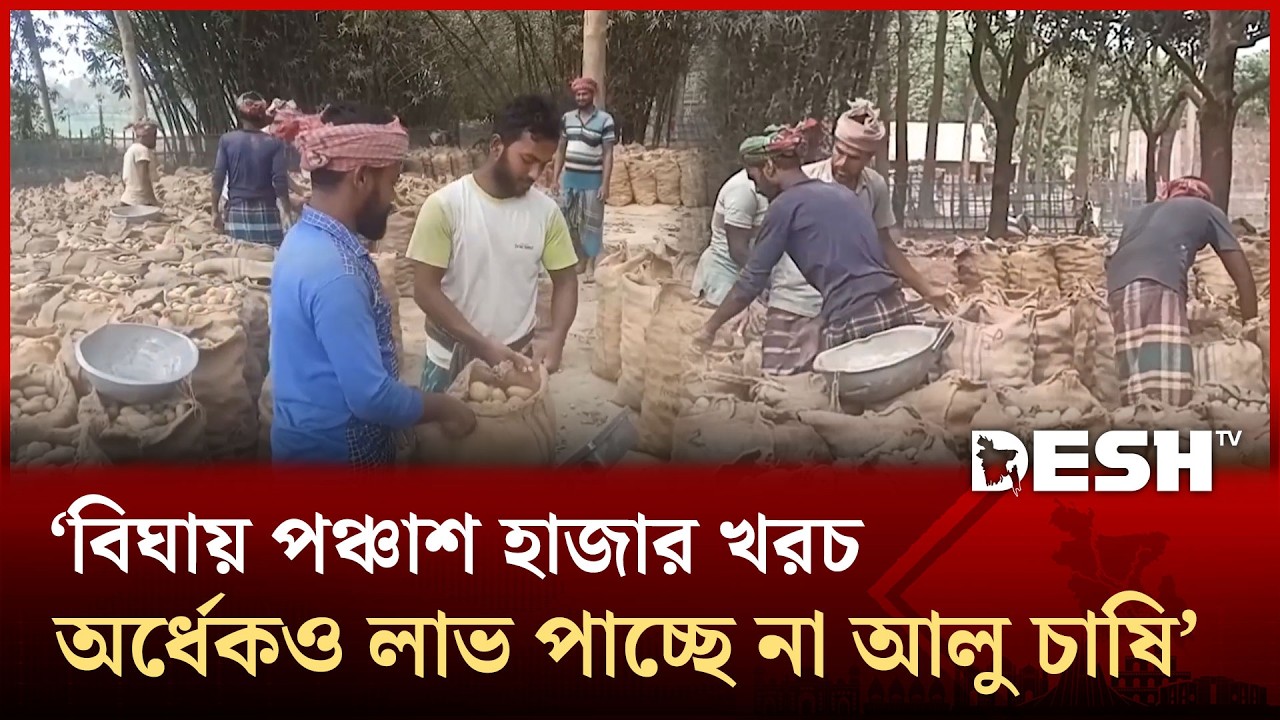 হিমাগারের অপর্যাপ্ততা এবং উচ্চ ভাড়ার ফলে আলু নিয়ে বিপাকে কৃষকরা | Chuadanga | Desh TV