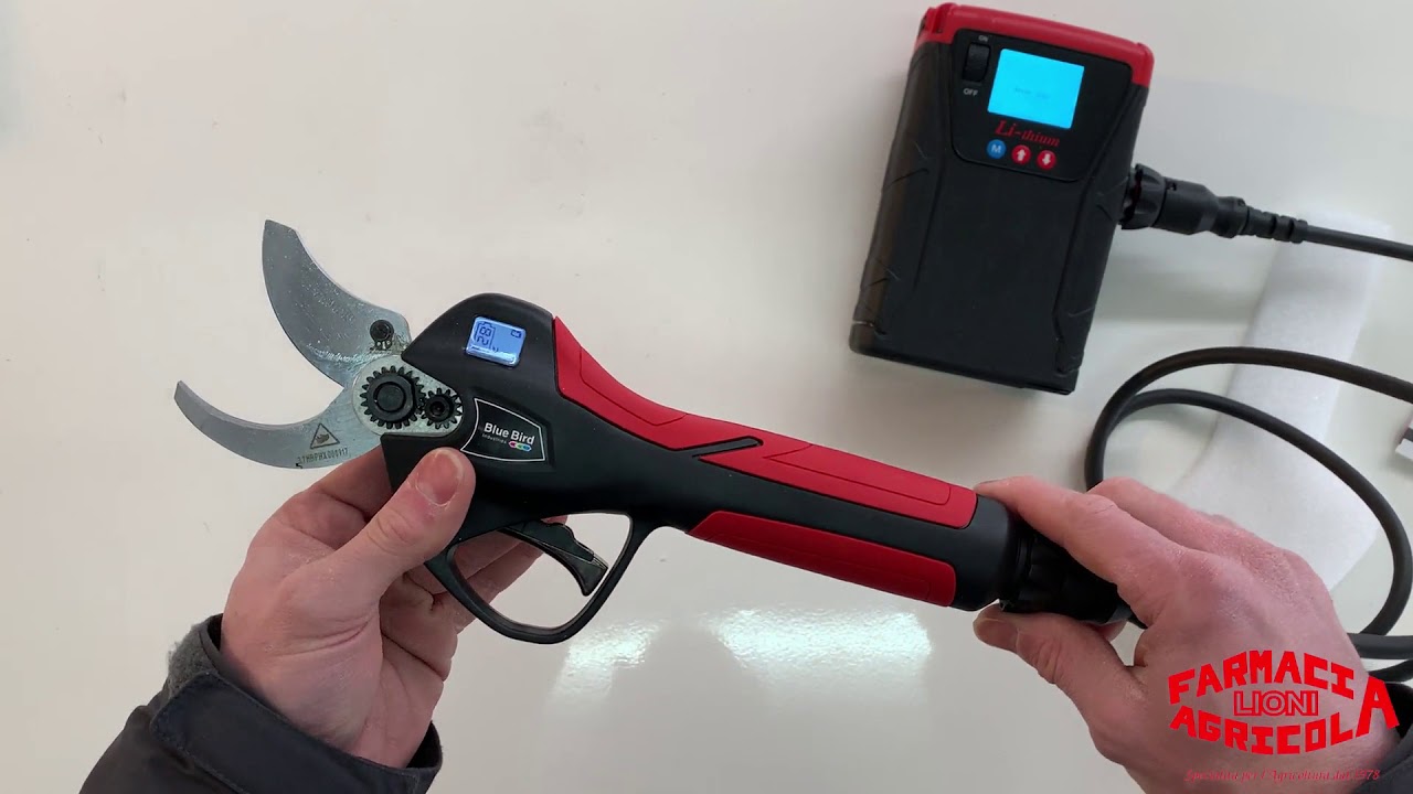 Forbici professionali a batteria PS  22-40 Blue Bird programmazione recensione prova di taglio