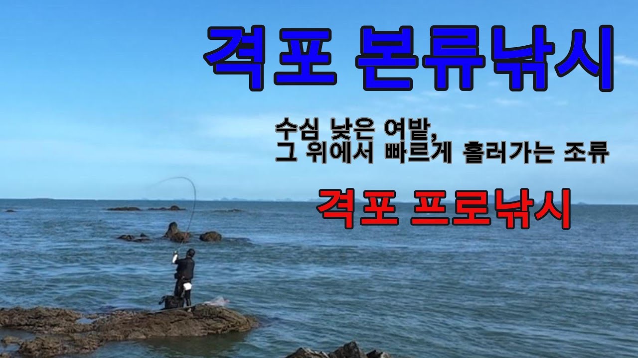 뚱보형님과 즐거운 본류 감성돔낚시.