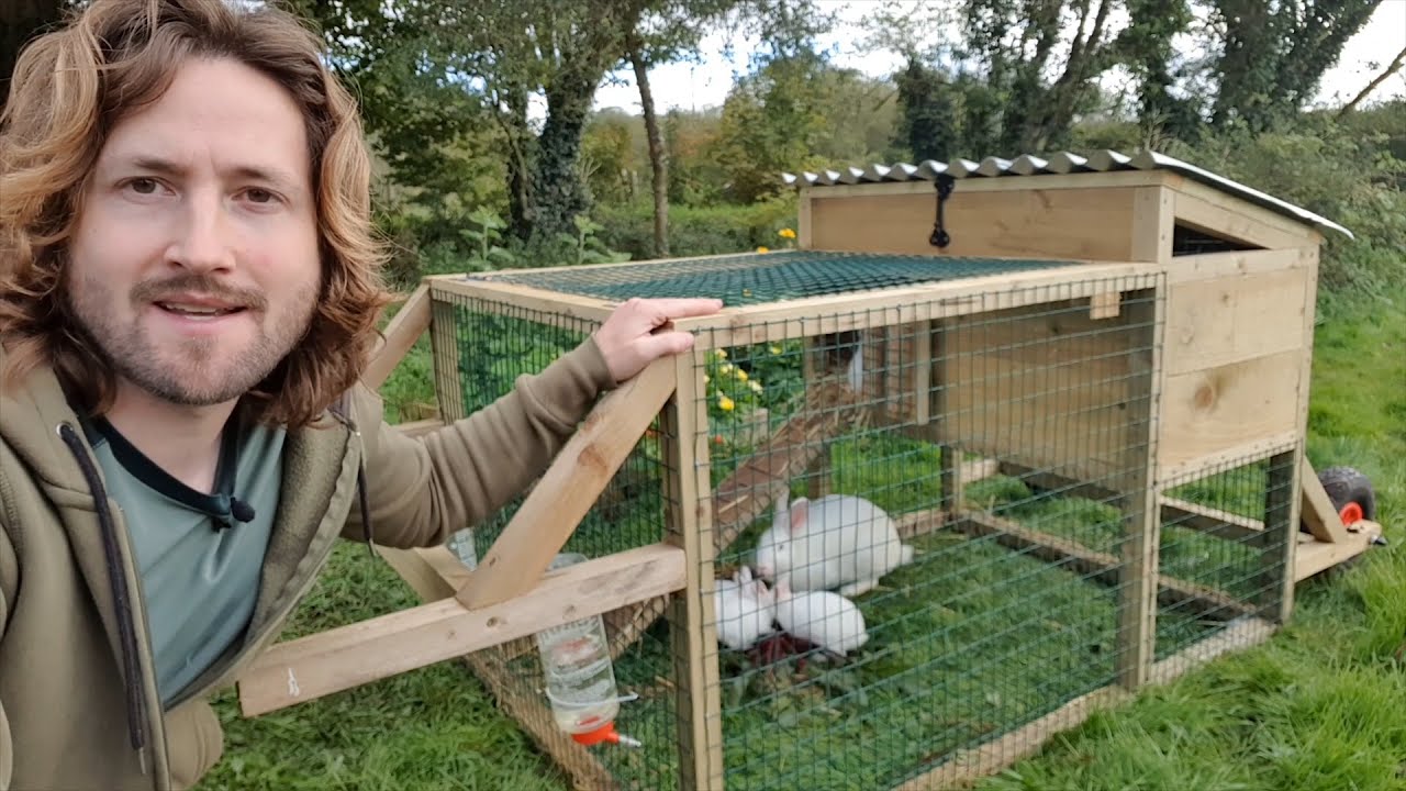 How To Build a Rabbit Tractor!