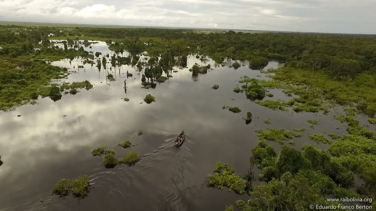 Navigating the San Carlos River, in the Bolivian Amazon