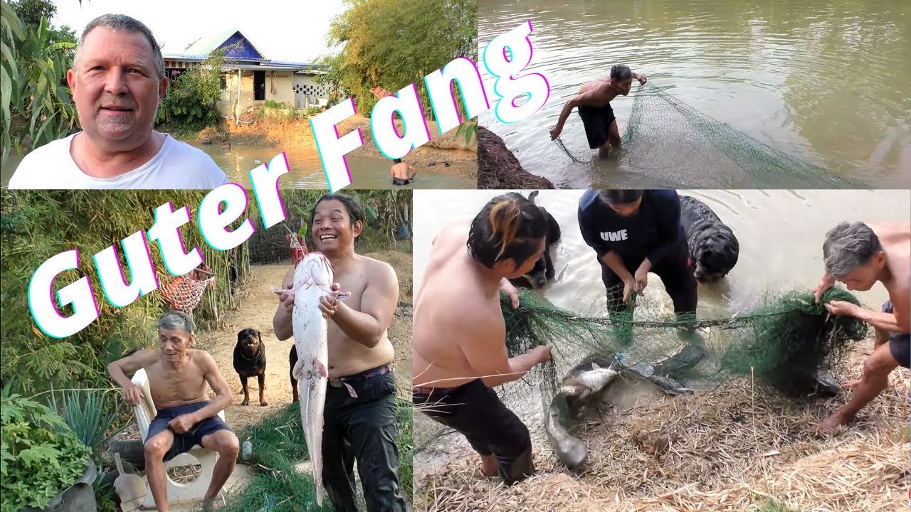 Thailand Ausgewandert. Fischfang mit Schleppnetz. Reiche Ernte im Teich 1. Grillen und Speisen.😁