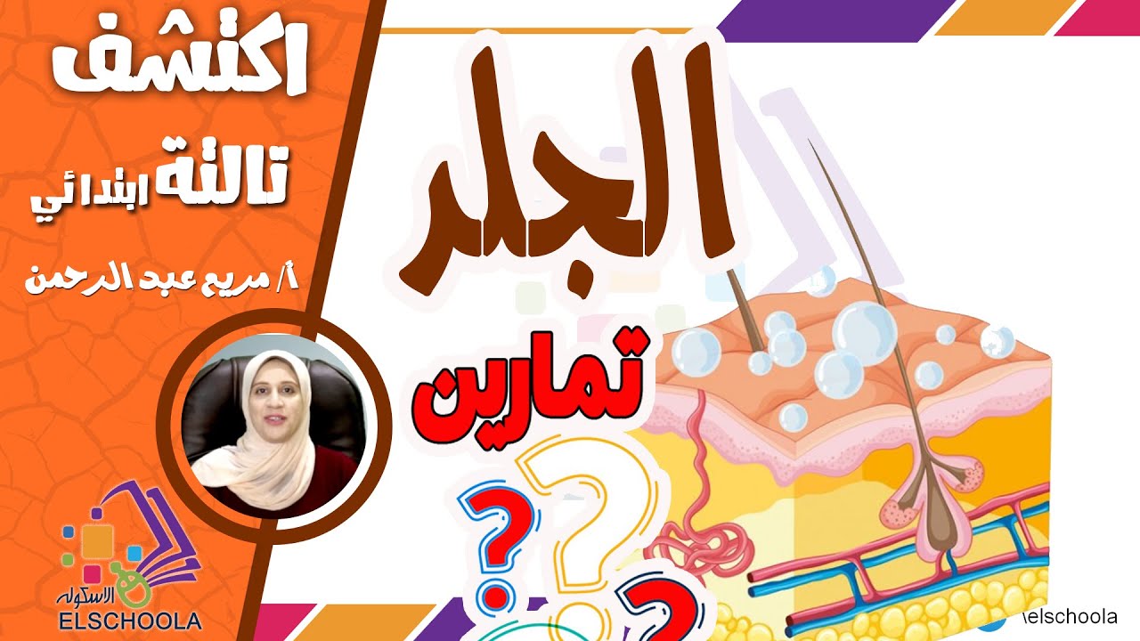 تدريبات على الجلد | اكتشف تالتة ابتدائي | الاسكوله