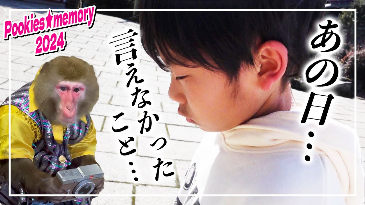 実はあの日…😢　大好きなお猿のカイくんへ伝えたかったことが…🐒💦　【 プーキーズさん★想い出 2024 】