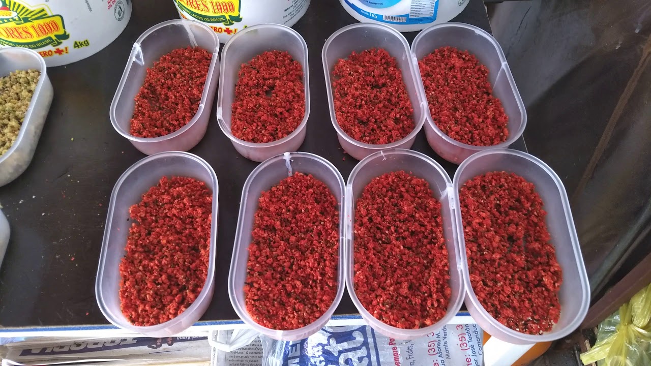 Como forneço farinhada úmida para os meus canarios.