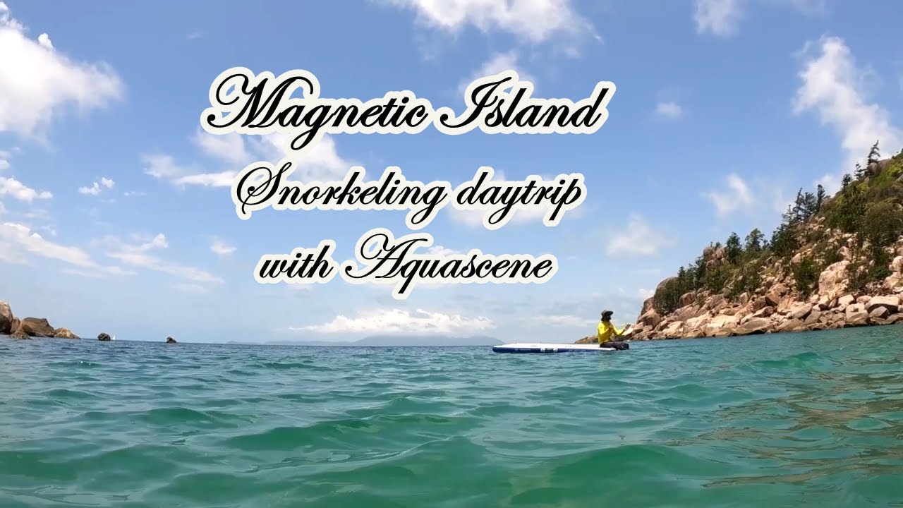 Magnetic Island Snorkeling daytrip with Aquascene