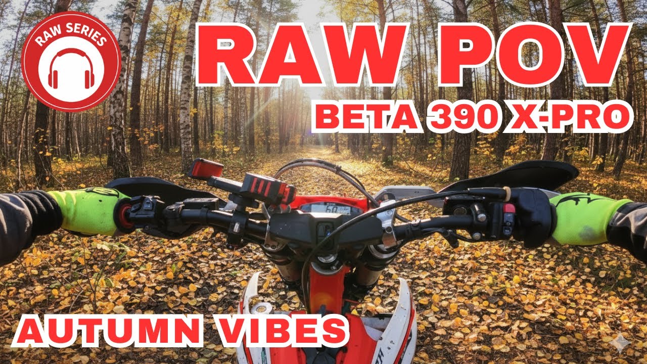 Autumn Flow on My Beta RR390 X-Pro | RAW SERIES |  Pure Sound